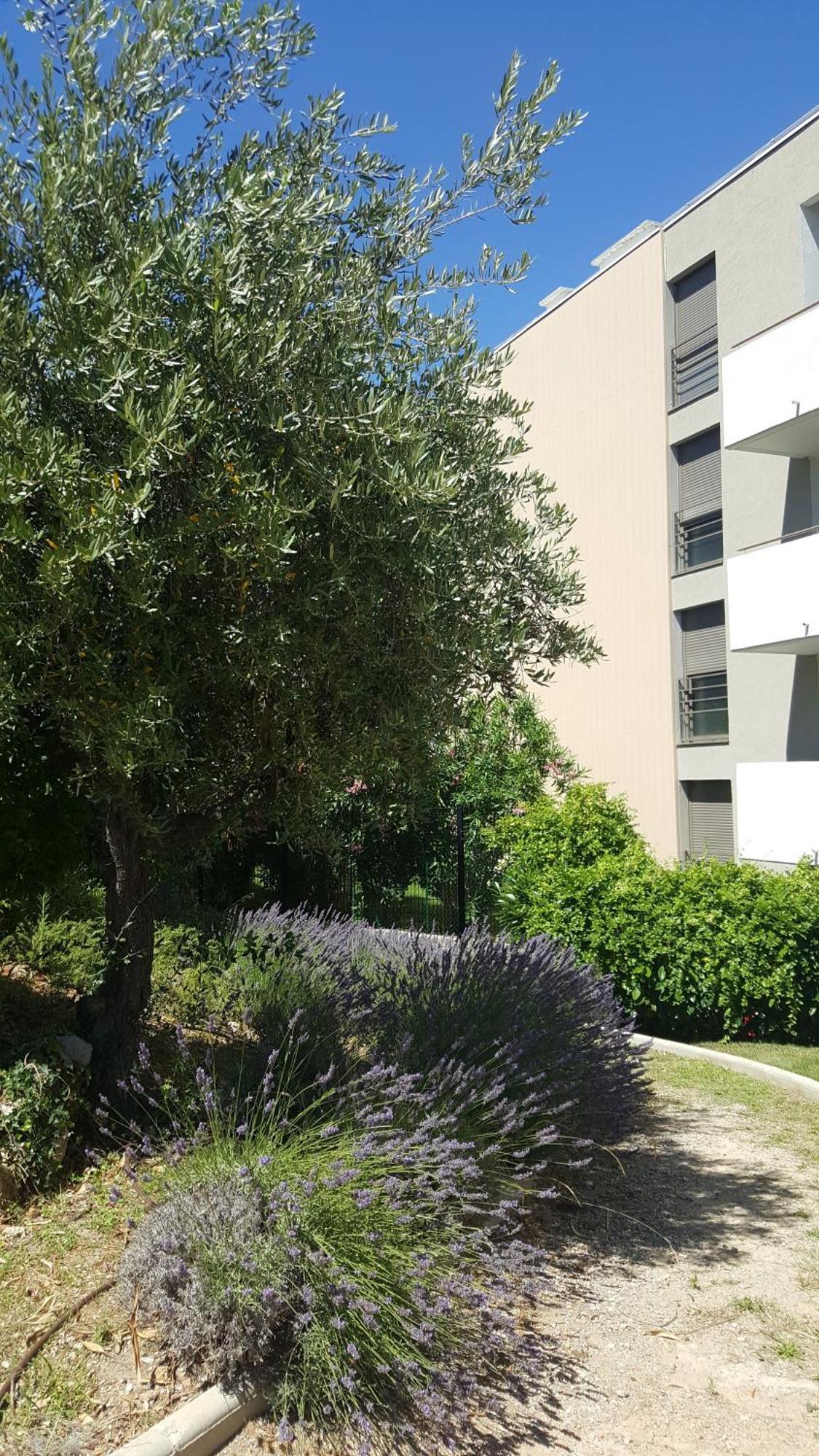 Apartmán Studio Vista Antibes Exteriér fotografie